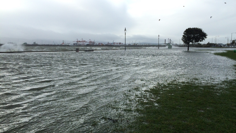 The programme will be broadcast in December and will be presented by John Creedon