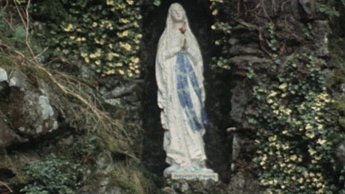 'Ann' film on Arena