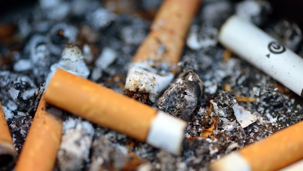 100 deaths every week from tobacco products - report