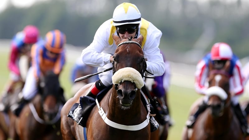 Eastern Rules and jockey Shane Foley