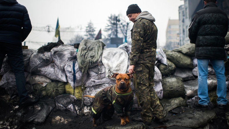 An opposition demonstrator holding a dog stands on a barricade in Kiev