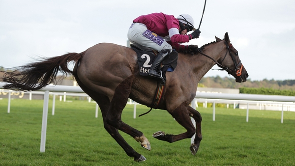 The ground has turned in Last Instalment's favour at Cheltenham