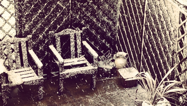 Snow in Newbridge, Co Kildare (Pic: Amber Masterson)