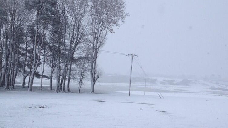 Conditions in the Curragh, Co Kildare (Pic: Willie Hannon)