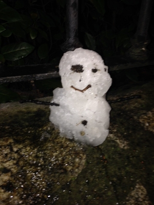 Sammy the Snowman on Raglan Road, Dublin (Pic: Michael Loomes)