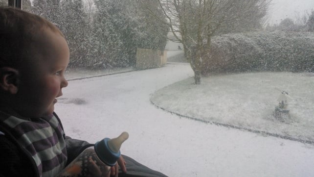 Zach checks out his first snowscape in Carrickmacross, Co Monaghan (Pic: Ramona Tobin)