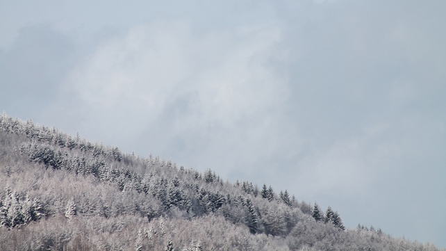 Ballina, Co Tipperary (Pic: Niamh Quinn)