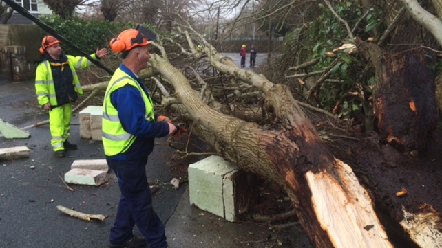 Workers clear a fallen tree in Co Waterford
