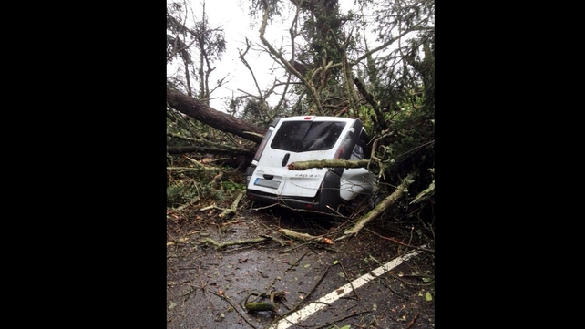 There were no injuries after a tree fell on this van on the Knockalisheen Road in Limerick City (Pic: Andrew Carey)