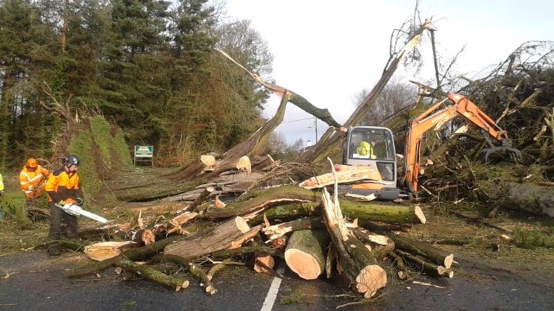 A tree is cleared from a road in Portlaoise, Co Laois