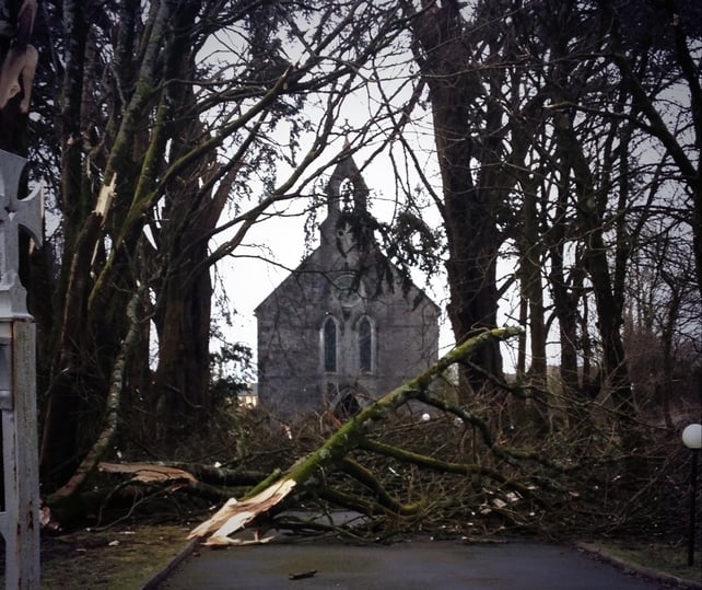 Damage at Monagea, Co Limerick (Pic: Catherina O'Callaghan)