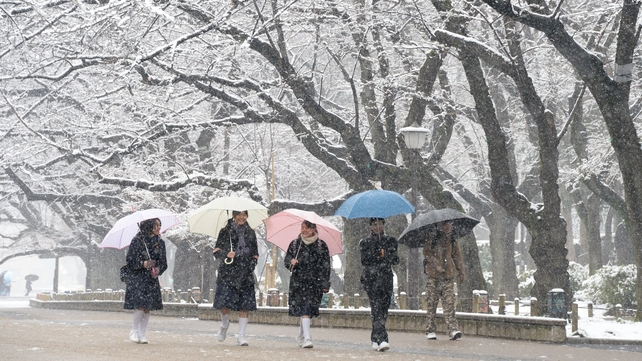 Students walk under snow covered trees at a park in Tokyo