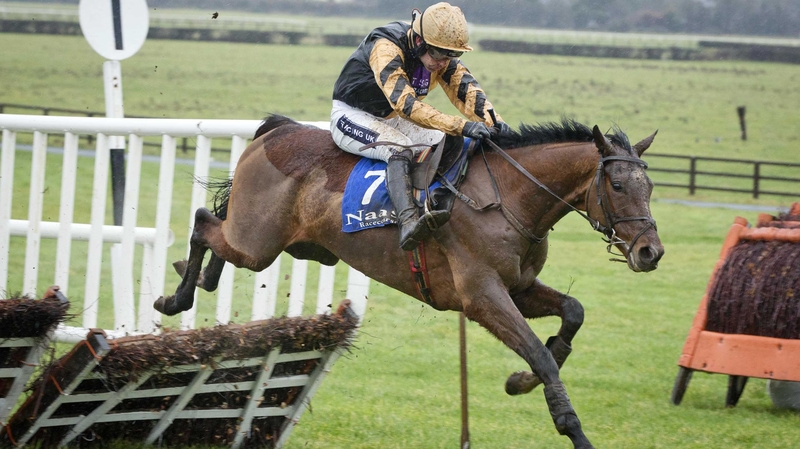 The Wylie colours were carried to success by Black Hercules at Cork