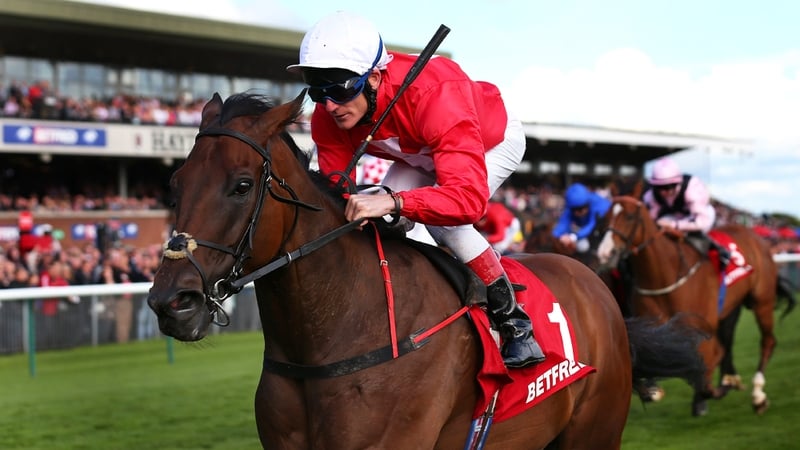 Gordon Lord Byron will go in Hong Kong Sprint this December