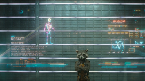 Cooper's character Rocket the raccoon