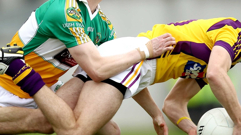 Offaly travelled to Wexford won by 1-16 to 0-06
