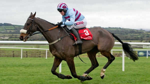 Rubi Light won eight races in total in Ireland