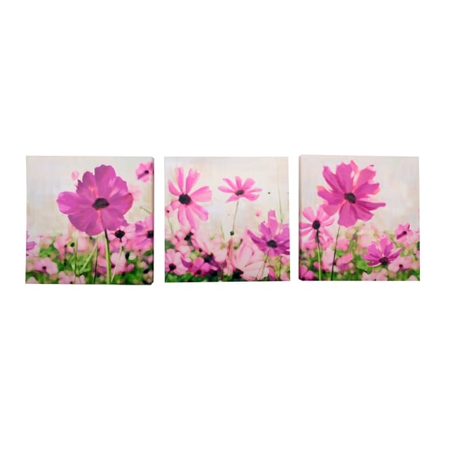 3PK Floral Canvas €6.00