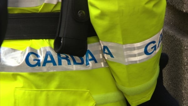 The law protects gardaí, employees, contractors, agency workers and the Defence Forces