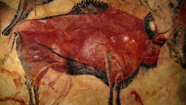A Bison seen the great hall of policromes