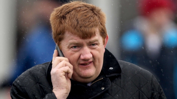 'Shark' ready for Cheltenham