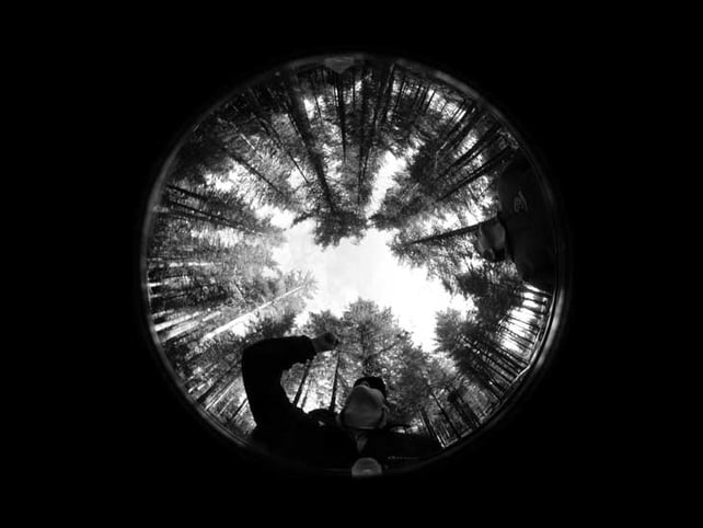 A mature Sitka spruce stand at Mount Callan, Co Clare, captured using a technique called hemispherical photography, also known as fisheye photography (Pic: Denis Coghlan)