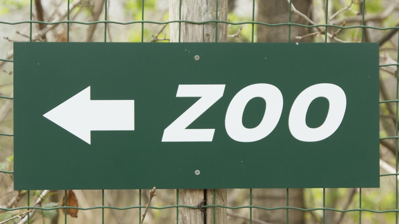 The zoo urged local residents to visit or donate funds