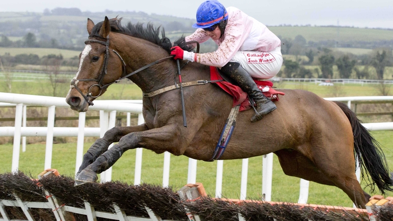 Los Amigos' chances of taking the Irish Grand National will be improved by soft ground