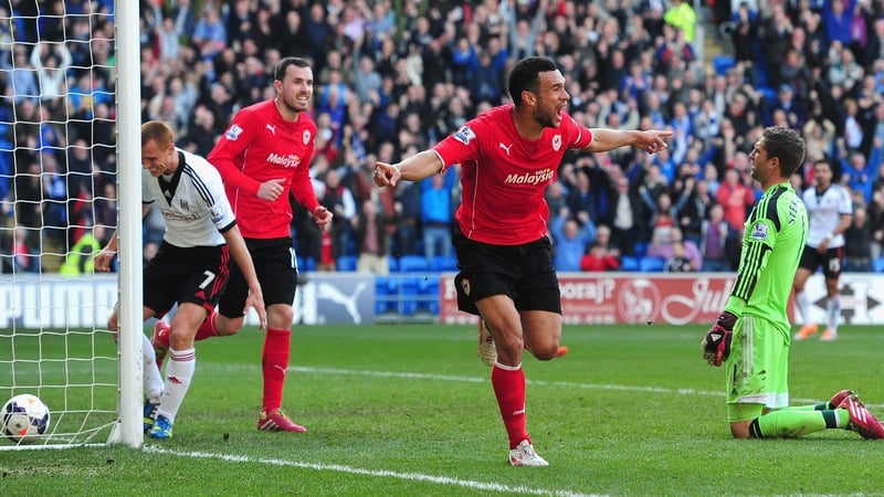 Steven Caulker bagged a brace in Cardiff's victory