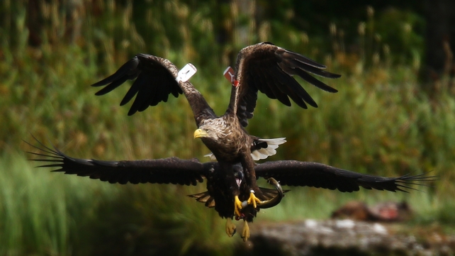 Birds of a feather stick together