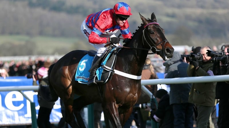 Which horse can step up to the mark in the absence of last year's Champion Chase winner Sprinter Sacre?