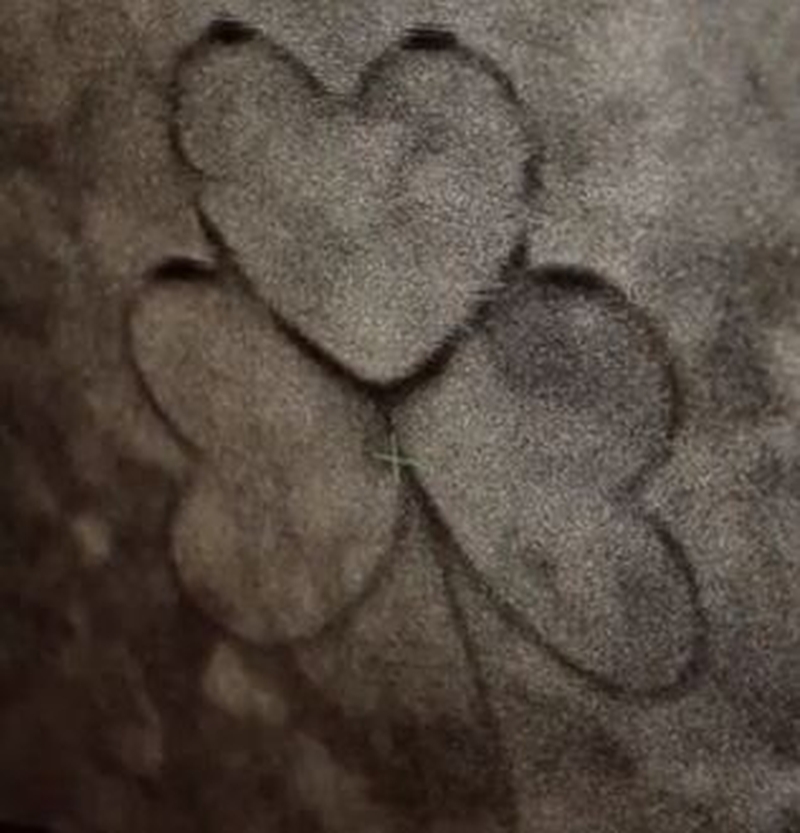 500 of the nano-sized Shamrocks could fit side by side on a single human hair