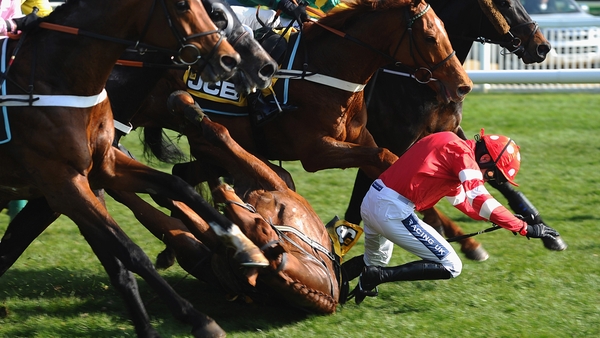 Ruby Walsh fell from Abbyssial in the JCB Triumph Hurdle