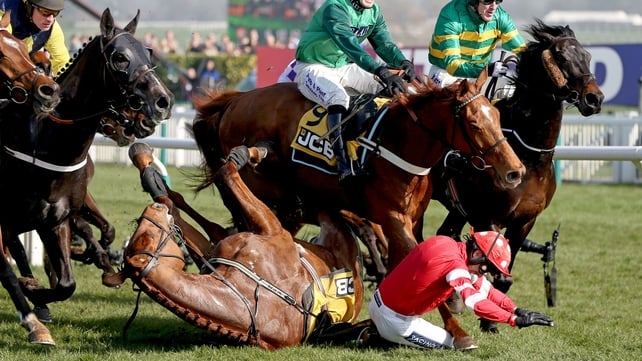 Ruby Walsh falls at Cheltenham