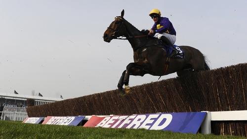 Davy Russell and Lord Windermere in the 2014 Cheltengam Gold Cup