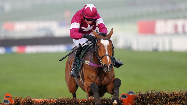 Don Poli