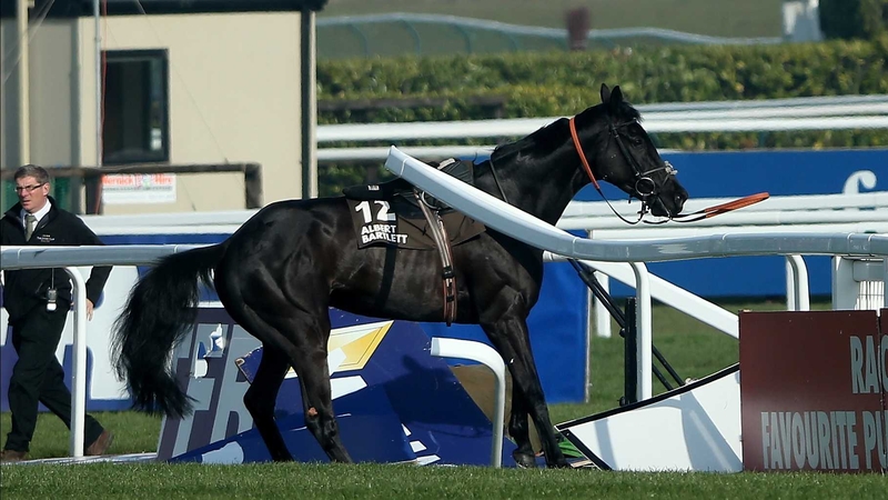 Daryl Jacob's horse Port Melon after crashing into the railings
