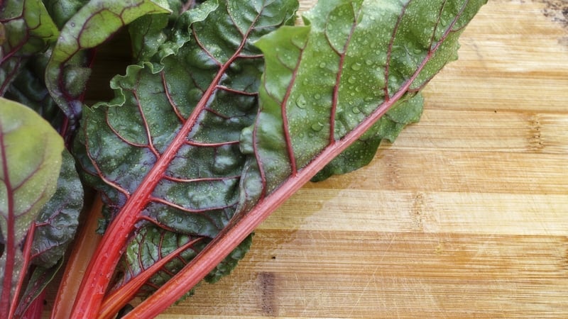 Neven Maguire's Ravioli of Swiss Chard and Ricotta with Smoked Garlic Foam