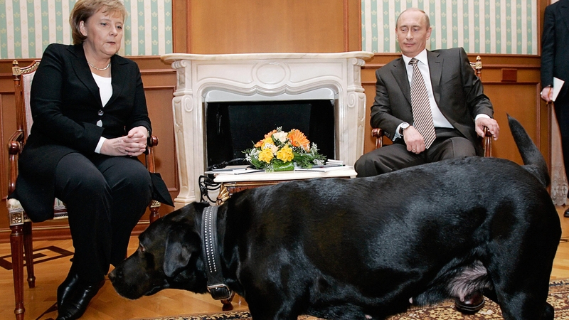 Russian President Vladimir Putin and German Chancellor Angela Merkel are watched by Mr Putin's dog Koni