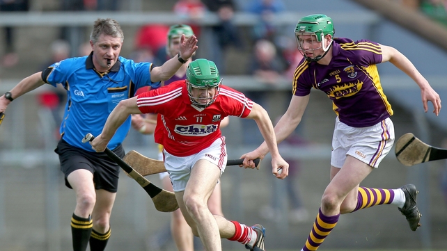 'Play on': Ref Barry Kelly directs the action during Cork's clash with Wexford
