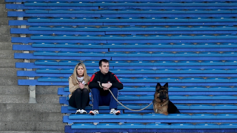 'Taking the lead': Two fans and their dog take in the Dublin v Tipperary game