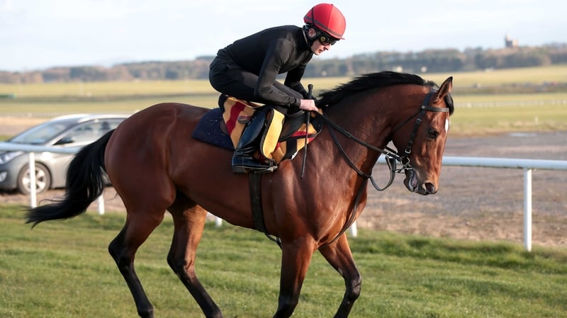 Aidan O'Brien is confident his son Joseph can get the best out of Australia