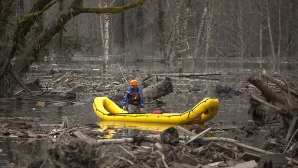 Search teams have been combing the area in search of survivors