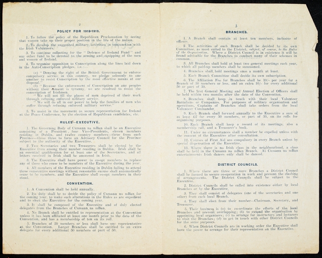 The constitution includes the pledge 'To follow the policy of the Republican Proclamation by seeing that women take up their proper position in the life of the nation' (Courtesy of the National Library of Ireland)