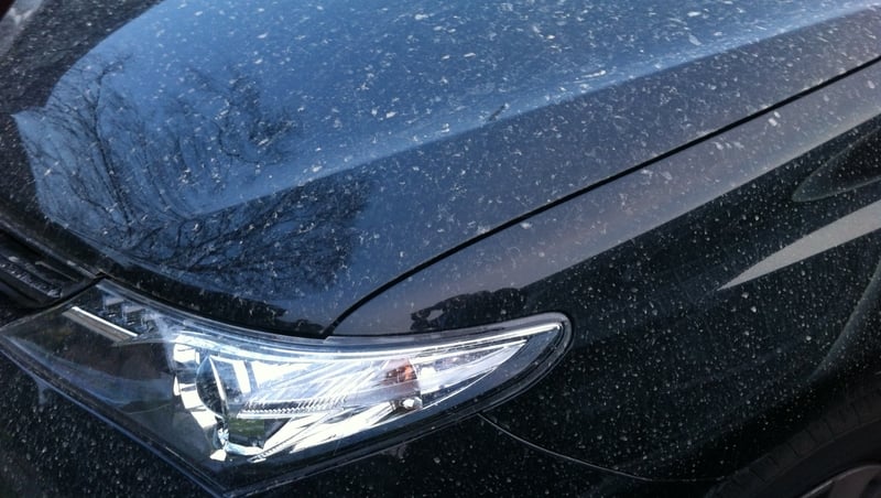 Dust rain reported across much of Leinster