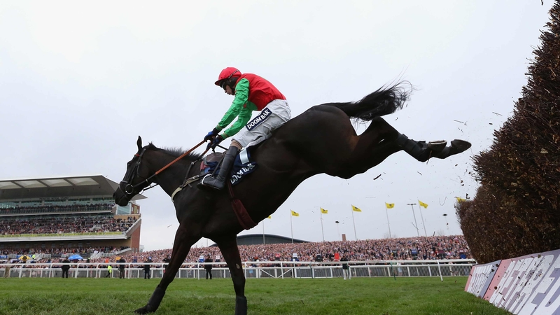 Balder Succes jumped the final fence in excellent fashion to win the Doom Bar Maghull Novices' Chase