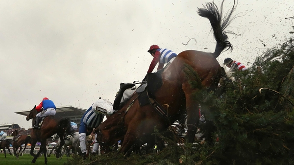 Teaforthree unseats Nick Scholfield falls after jumping The Chair