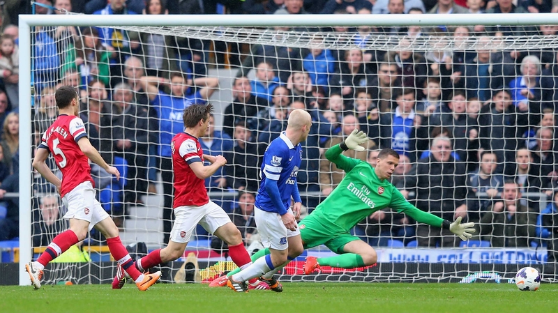 Steven Naismith gave Everton the lead in the 14th minute