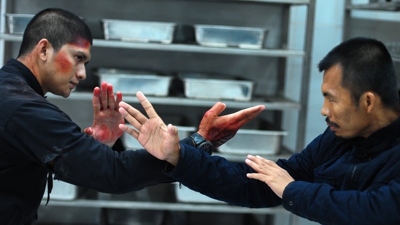 As with The Raid, the action sequences - jail, motorway, kitchen - are superbly realised