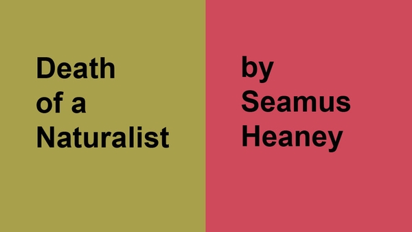 Death of a Naturalist by Seamus Heaney.